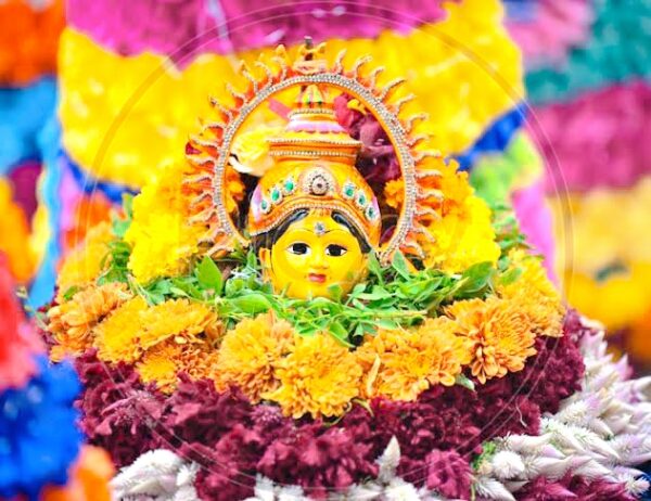 The most famous telangana festival Bathukamma