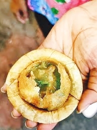 Be Alert Panipuri lovers