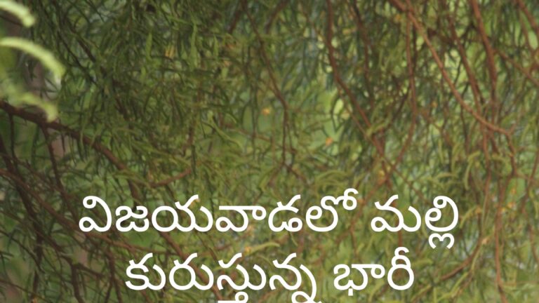 విజయవాడలో మల్లీ భారీగా కురుస్తున్న వర్షాలు