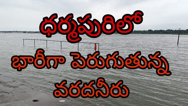 ధర్మపురి గోదావరిలో పెరుగుతున్న వరదనీరు.(video)